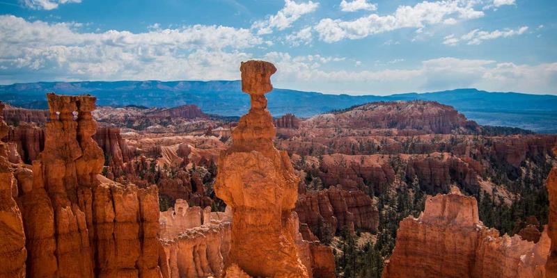 O3MR93：深入解析DNS管理与域名注册的核心网络技术