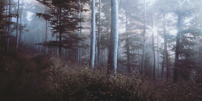 O3MR入门指南：从域名注册到DNS管理的网络技术基础