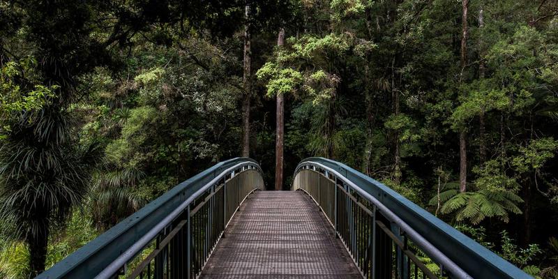 O3MR反应器流体力学模拟与结构优化设计：技术咨询如何驱动高效域名服务