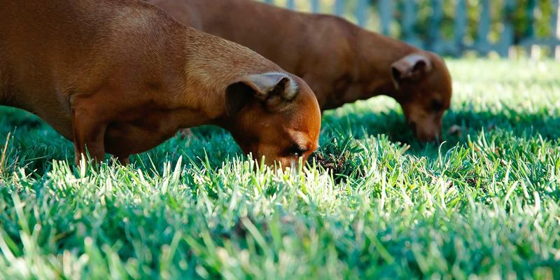 O3MR工艺在喷涂行业VOCs治理中的能效分析与智能控制策略：技术咨询与网络技术赋能