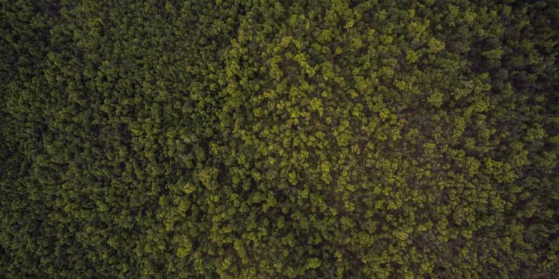 工业物联网赋能O3MR设备：远程监控与预测性维护系统的构建与技术咨询